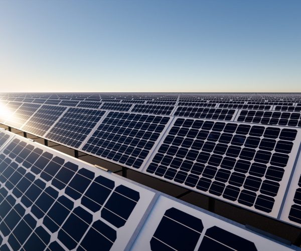 206744796_m_normal_none-scaled-qfmrf4t1w4qcafkxti6pg5o93oi2qyvthol0n5wm88