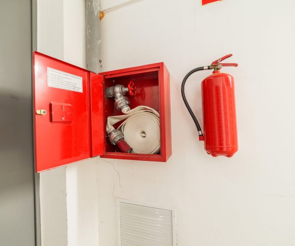 67187454_m_normal_none-qfhphk7qvkv0dj77pwzz2f3e0kibfsjc0b7h0r0s5k