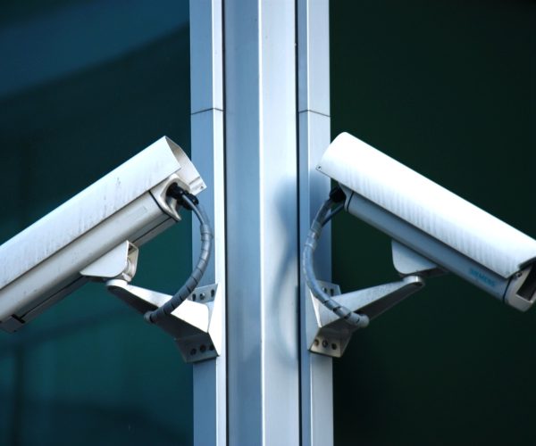 7240827_m_normal_none-qfi41winain8upkbxkduz3q3gg3f9g4y3k8cjhkp6w